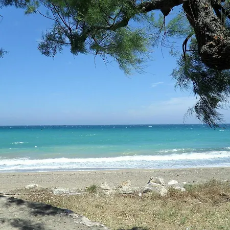 Suzannah * Lendinuso